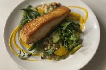 Salmon IL